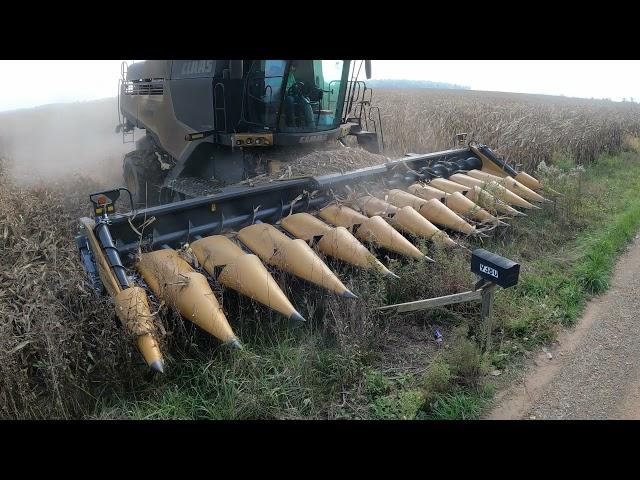 Hard to Keep Up With - Harvest 2021 Chasing - Powerful Lexion 750 - Challenger MT775E - Brent 1596