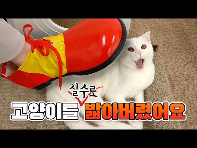 When You Accidentally Step On Cat (ENG SUB)