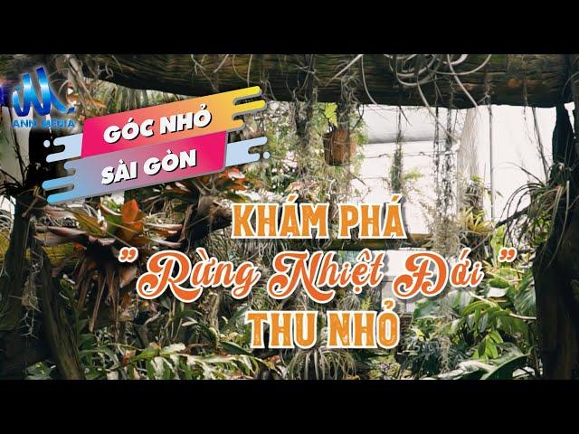 Có một khu "rừng nhiệt đới" ở Sài Gòn | Ann Media