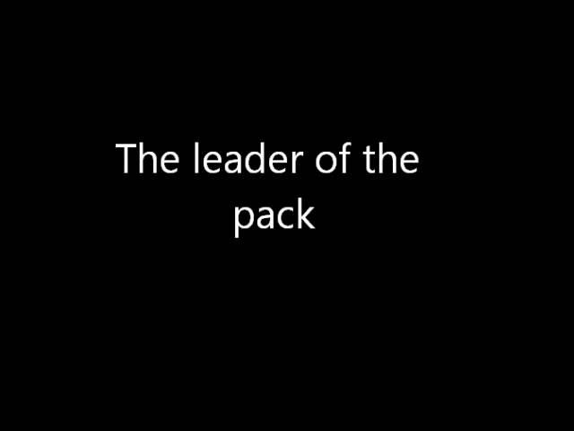 Twisted Sister - Leader of the pack (Lyrics)