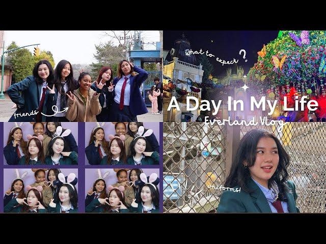 EVERLAND vlog | korea's largest theme park, friends, attractions, food