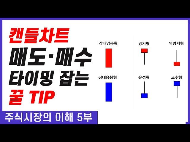 슈퍼개미 배진한이 알려주는 매도.매수 타이밍 꿀Tip (feat.캔들차트)│주린이들을 위해 그가 알려주는, 주식시장의 이해 5부