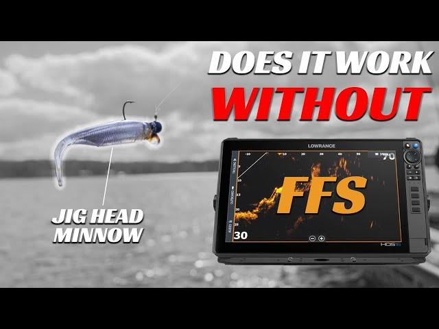 I Tested the Jig Head Minnow Without Live Sonar....Oh Boy