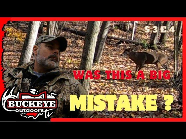 OHIO PUBLIC LAND | Wayne national Forest | Bowhunting |Ohio whitetail