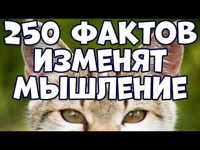 250 INCREDIBLE FACTS THAT WILL CHANGE YOUR MINDSET