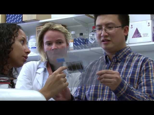 Making Discoveries at a Premier Research Institute