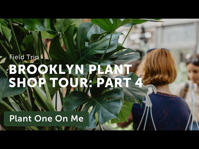 Brooklyn Plant Shop Tour: Tend (4/6) — Ep. 221