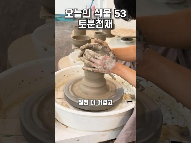 53. 알고보니 토분 장인이었나?? 식물키우기 필수템!!