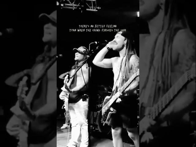 That feelin’ when the crowd finishes the song  #livemusic #crowd #vibes #energy #music #live
