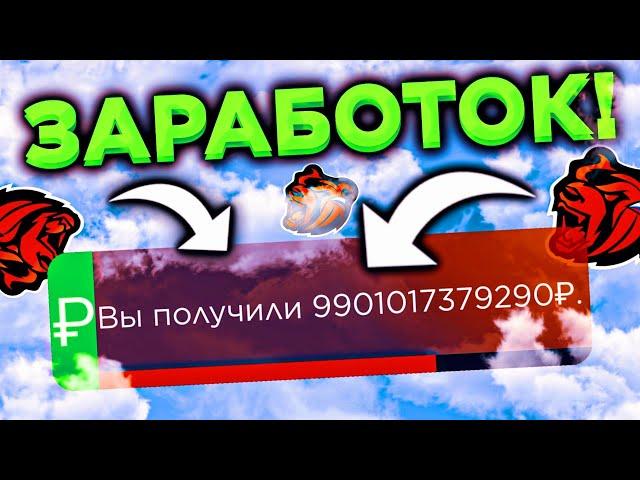 НОВЫЙ ТОПОВЫЙ ЗАРАБОТОК на БЛЕК РАША - КАК ЗАРАБОТАТЬ НОВИЧКУ МНОГО ДЕНЕГ? БАГ НА ДЕНЬГИ