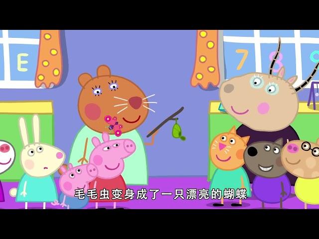 佩佩豬第8季第29集【蝴蝶】Peppa Pig Season 8 E29