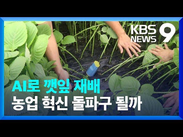 깻잎 AI기술 개발…아마존과 손잡고 농업혁신 / KBS  2022.07.24.