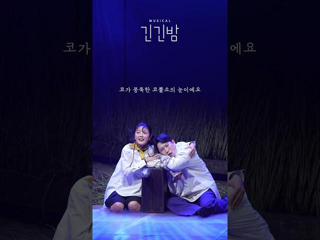 뮤지컬 [긴긴밤] | 노든, 이야기를 들려줄게요 