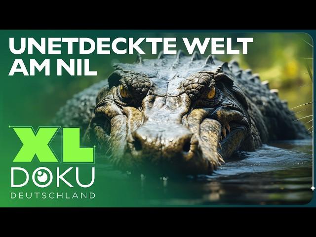 Expedition entlang des Nils | Afrikas größte Naturwunder | XL Doku Deutschland