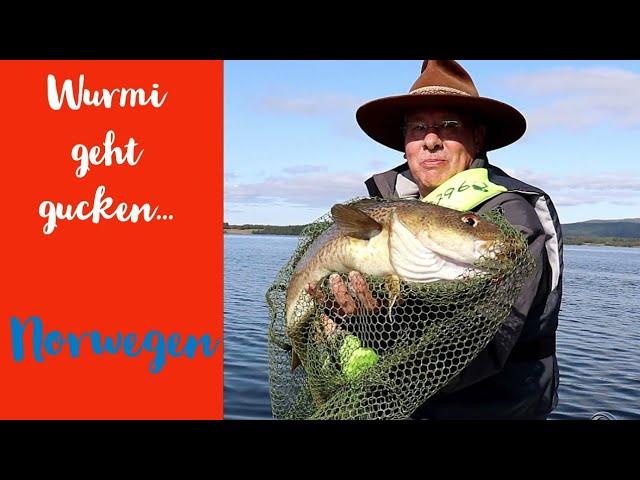 #008 Wurmi geht gucken...Mit dem Wohnmobil nach Norwegen,Dorsche angeln, Miesmuscheln sammeln