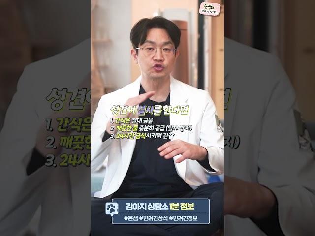강아지 구토 설사