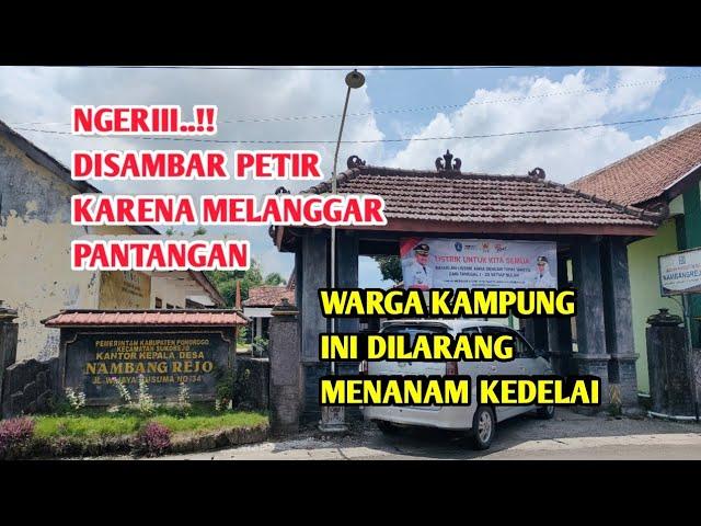 NGERIIII.... DISAMBAR PETIR AKIBAT LANGGAR PANTANGAN () Warga Kampung ini DILARANG TANAM KEDELAI