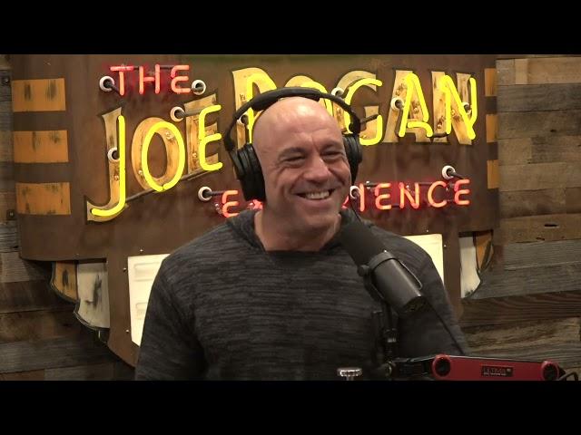 Joe Rogan Experience #2073 - Derek, More Plates More Dates