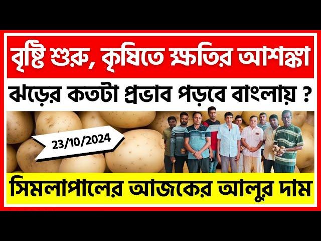 23/10/2024 : সিমলাপালের আজকের আলুর দাম | Potato Price in Simlapal, Bankura - India Potato News