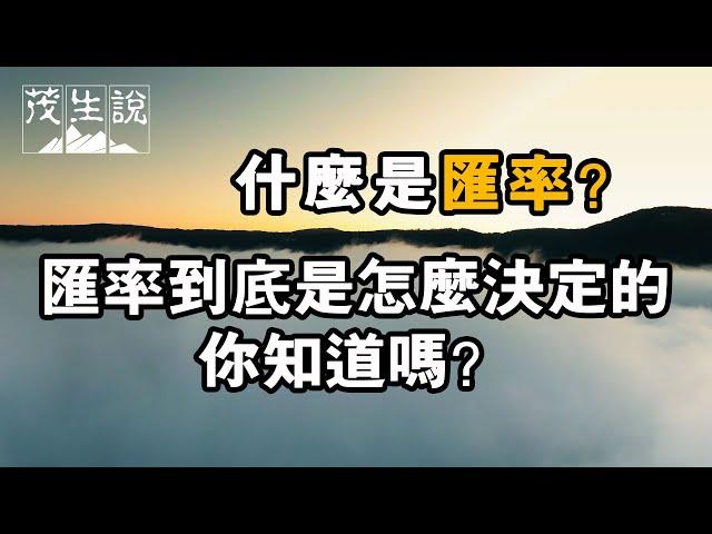 什麼是匯率？匯率到底是怎麼決定的，你知道嗎？