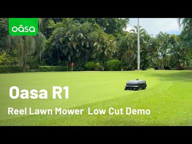 Oasa R1 Reel Lawn Mower Low Cutting Demo