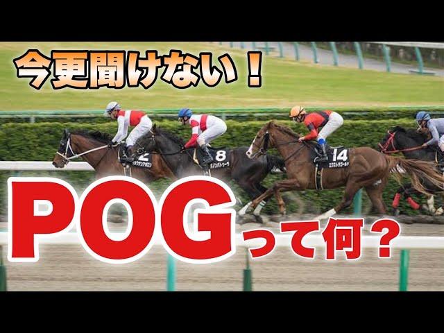 【POG入門】おしウマ!!グリさんに聞く！POGの始め方と指名馬の選び方！