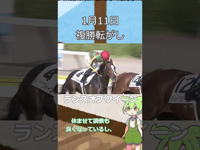 【競馬予想】１月１１日複勝転がし予想