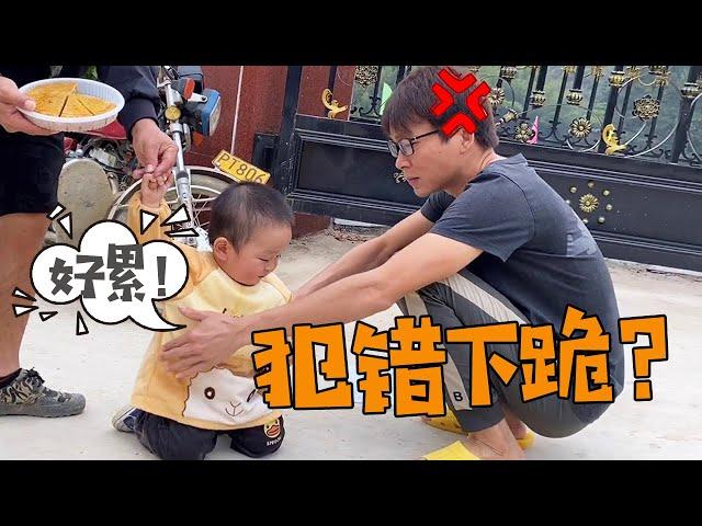 Xiao Huihui is always lazy while learning to walk, and suddenly kneels to his father?