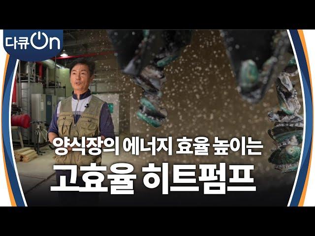 양식장의 에너지 효율 높이는 수열원 고효율 히트펌프 [다큐ON-Docu ON] | KBS 241221 방송