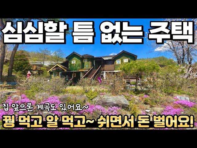 [370] 집 앞으론 계곡이 있고 1km 거리엔 스키장과 여러 편의 시설이? / 2억대로 수익 창출하는 전원생활 즐겨보세요! / 강원특별자치도 평창군 봉평면 전원주택,펜션 매매