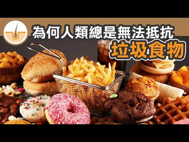 為何人類對垃圾食物總是無法抵抗？甚麼才是垃圾食物？ (繁體中文字幕)