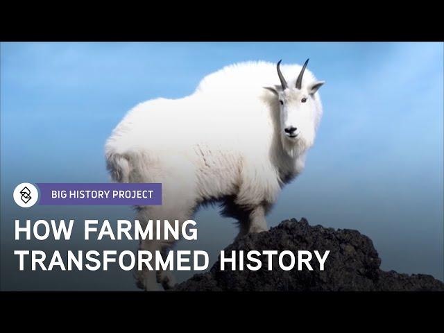 Why Was Farming So Important? | Big History Project