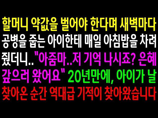 (반전사연)할머니 약값을 벌어야 한다며 새벽마다 공병을 줍는 아이한테 매일 아침밥을 차려줬더니 20년만에 날 찾아온 순간 기적이 찾아왔습니다[신청사연][사이다썰][사연라디오]