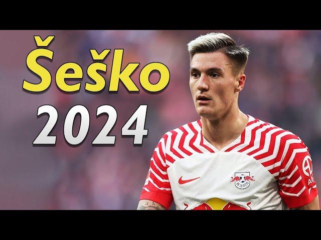 BENJAMIN SESKO 2024 ● Goals & Skills 