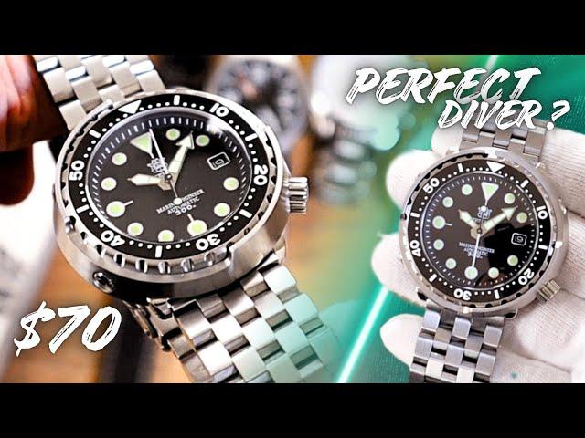 Steeldive SD1975 Review - The PERFECT Budget DIVER Watch!?