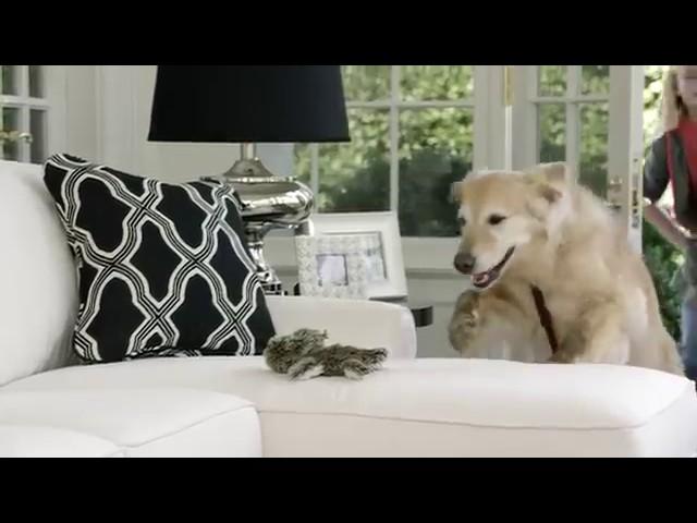 iClean Fabric Technology