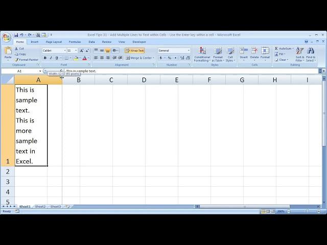 Excel Tips 31 - Add Multiple Lines to Text within Cells - Use the Enter key within a cell