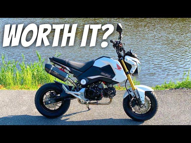 First Ride On A Honda Grom! Should I FINALLY Buy One?!