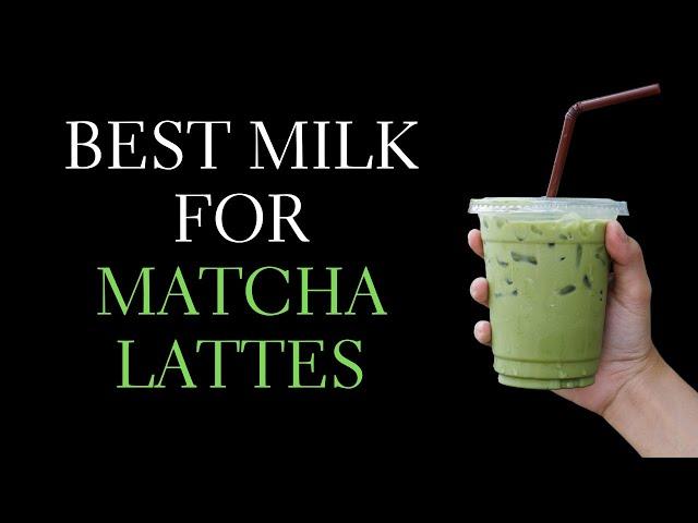 Best Milk for Matcha Latte? Trying out 3 different types to see which makes the best matcha latte