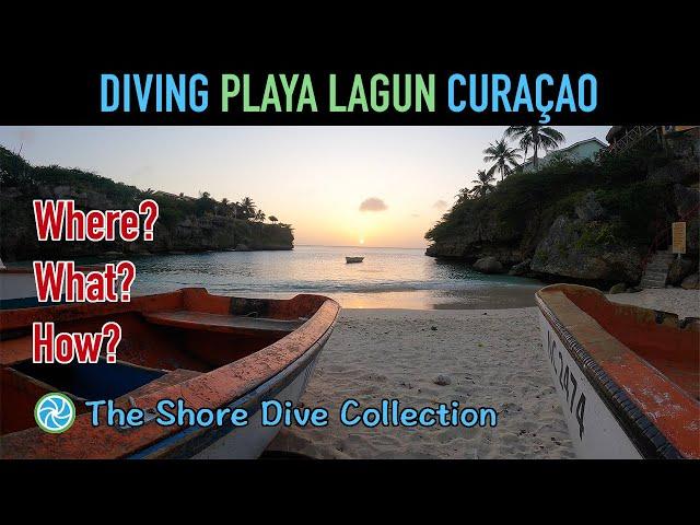 Diving Playa Lagun, Curaçao | The Shore Dive Collection | TropicLens   4K