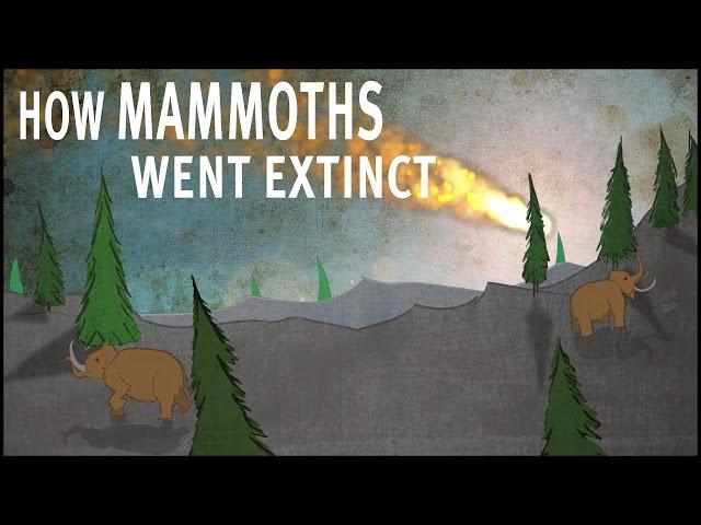 How Mammoths Went Extinct