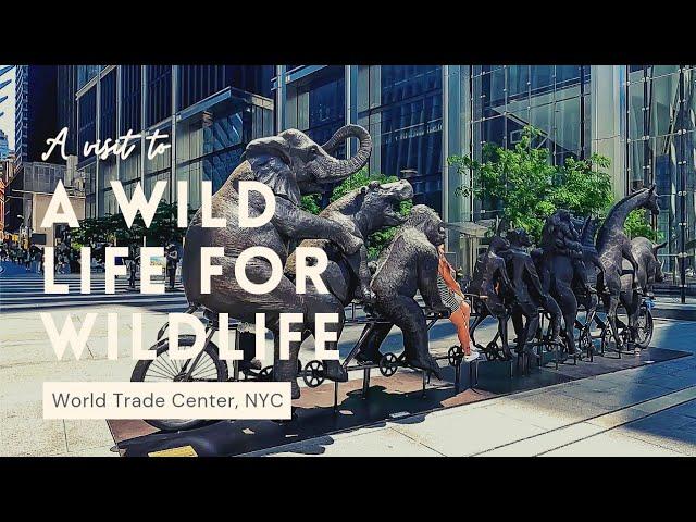 A Wild Life For Wildlife | NYC