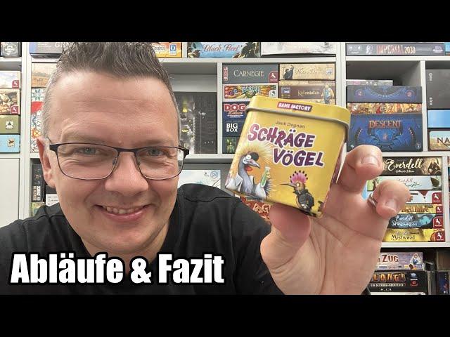 Schräge Vögel (Game Factory) - einfach und schnell - auch preislich perfekt