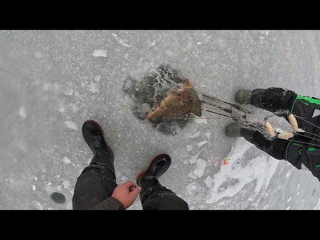 ЭТИ САЗАНЫ РАЗОРВАЛИ НАМ ВСЕ ХАПУГИ, ТАКОЙ РЫБАЛКА У МЕНЯ ЕЩЁ НЕБЫЛО! КТО ИЩЕТ ТОТ ВСЕГДА НАХОДИТ...