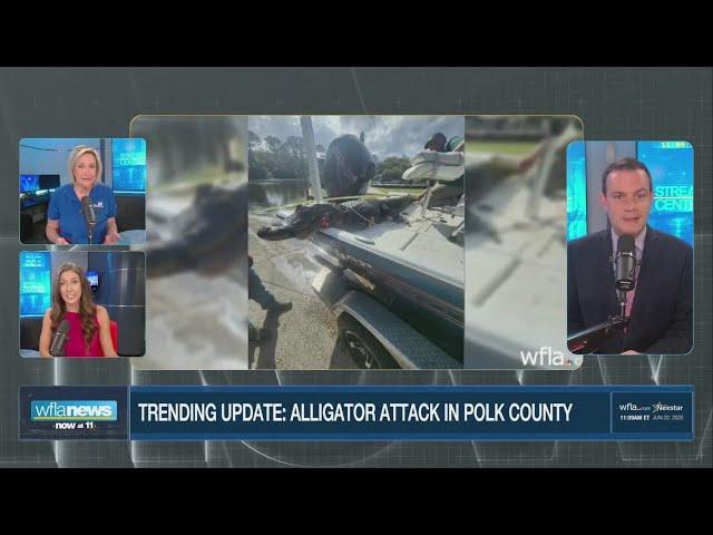 Alligator Rips Paddle in Half, Drags Woman Into Water — Terrifying Florida Kayak Attack! 