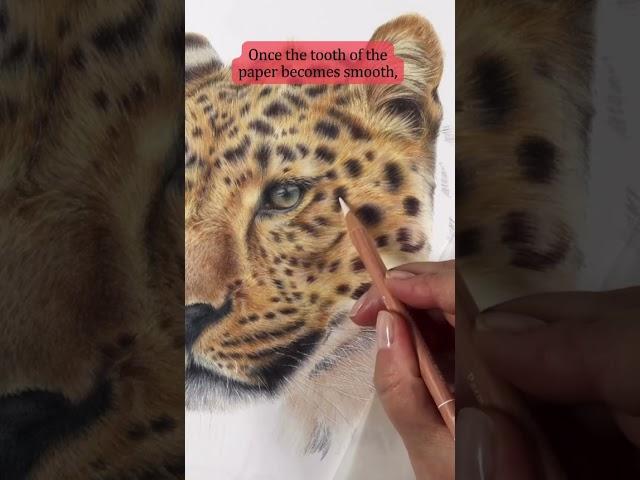 Coloured Pencil Tips - Drawing Light over Dark on Hot Pressed Paper #shorts