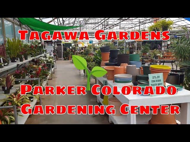 Mini tour of Tagawa Gardens Centennial Colorado