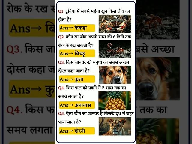 IAS INTERVIEW QUESTIONS | GK QUESTION | GENERAL KNOWLEDGE | GK #gk #trandinggk #gkquestion #gkfacts