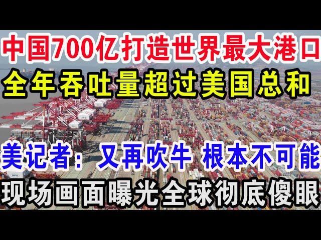 中国700亿打造世界最大港口，全年吞吐量超过美国总和，美记者：又再吹牛根本不可能，现场画面曝光全球彻底傻眼