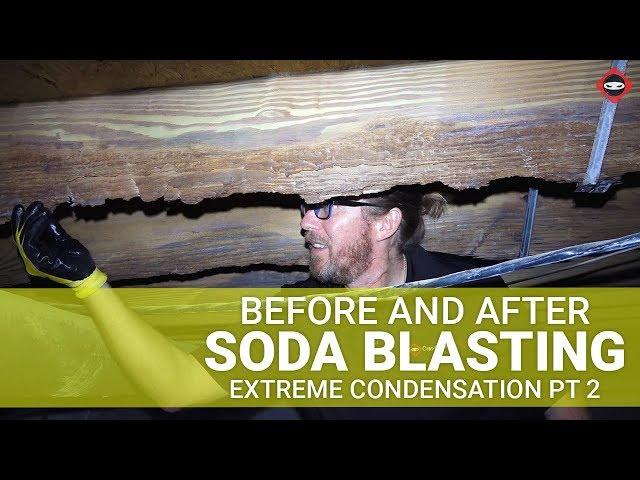 Does Soda Blasting Mold Work? Extreme Mold Damage Due to Condensation